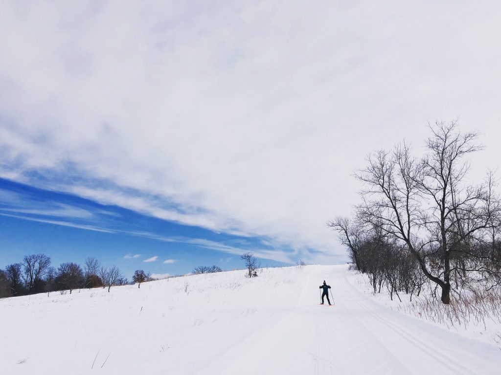 Nordic Ski Trail at Lake Elmo Park Reserve in  Minnesota