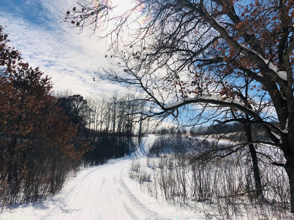 Cross Country Ski Trails at William OBrien State Park in Minnesota